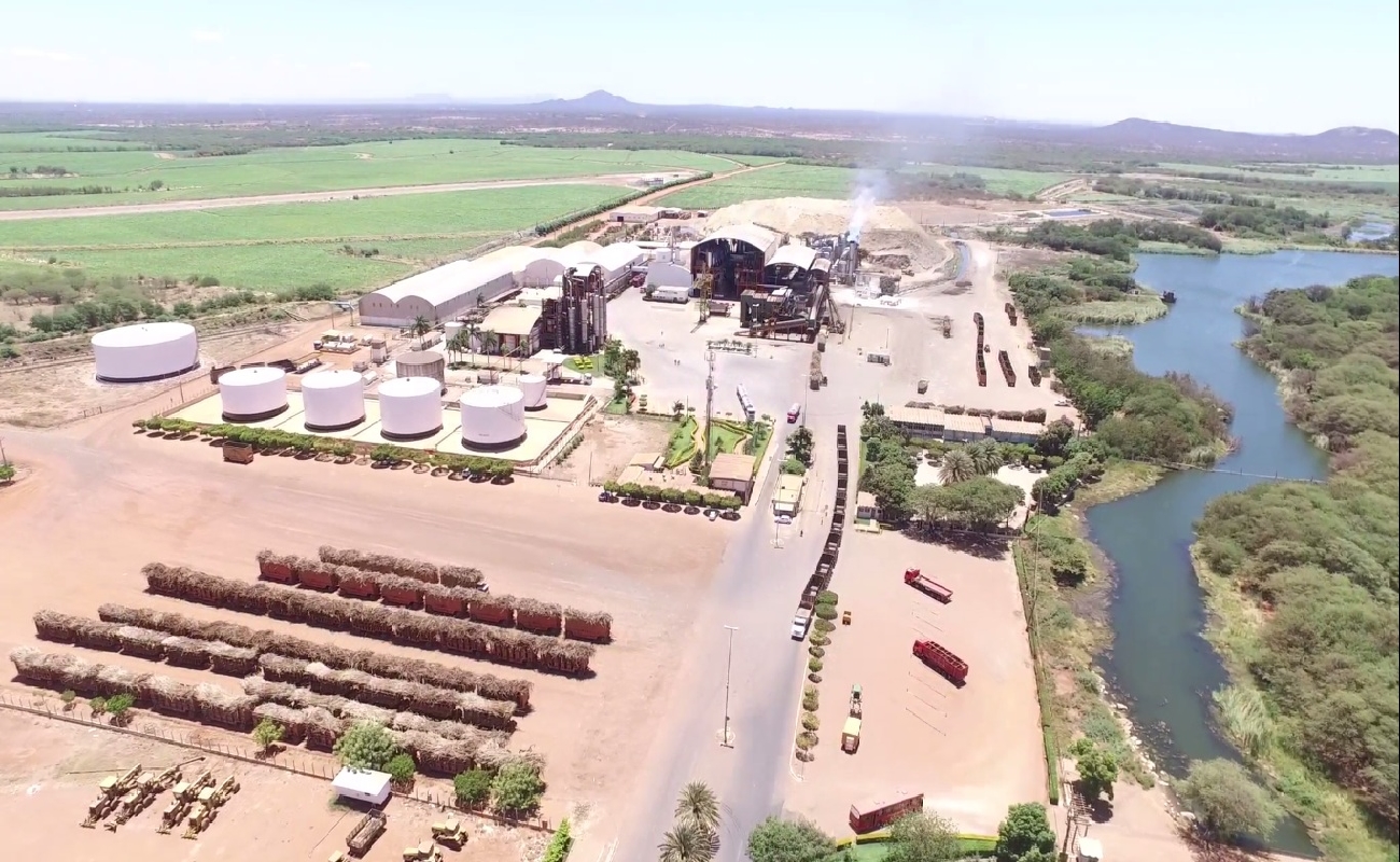 Portal Zap | Justiça de Pernambuco determina que Agrovale suspenda queima da cana de açúcar; entenda melhor